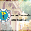 Lot 4: The Professional Tourist Guides Association of Thailand is coordinating with the Ministry of Public Health, Department of Disease Control, to request vaccines for another 153 tour guides.